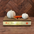 Herbstliches Deko-Set Kleine Herbstfreude mit zwei weißen Kürbissen und orangefarbenen Beeren